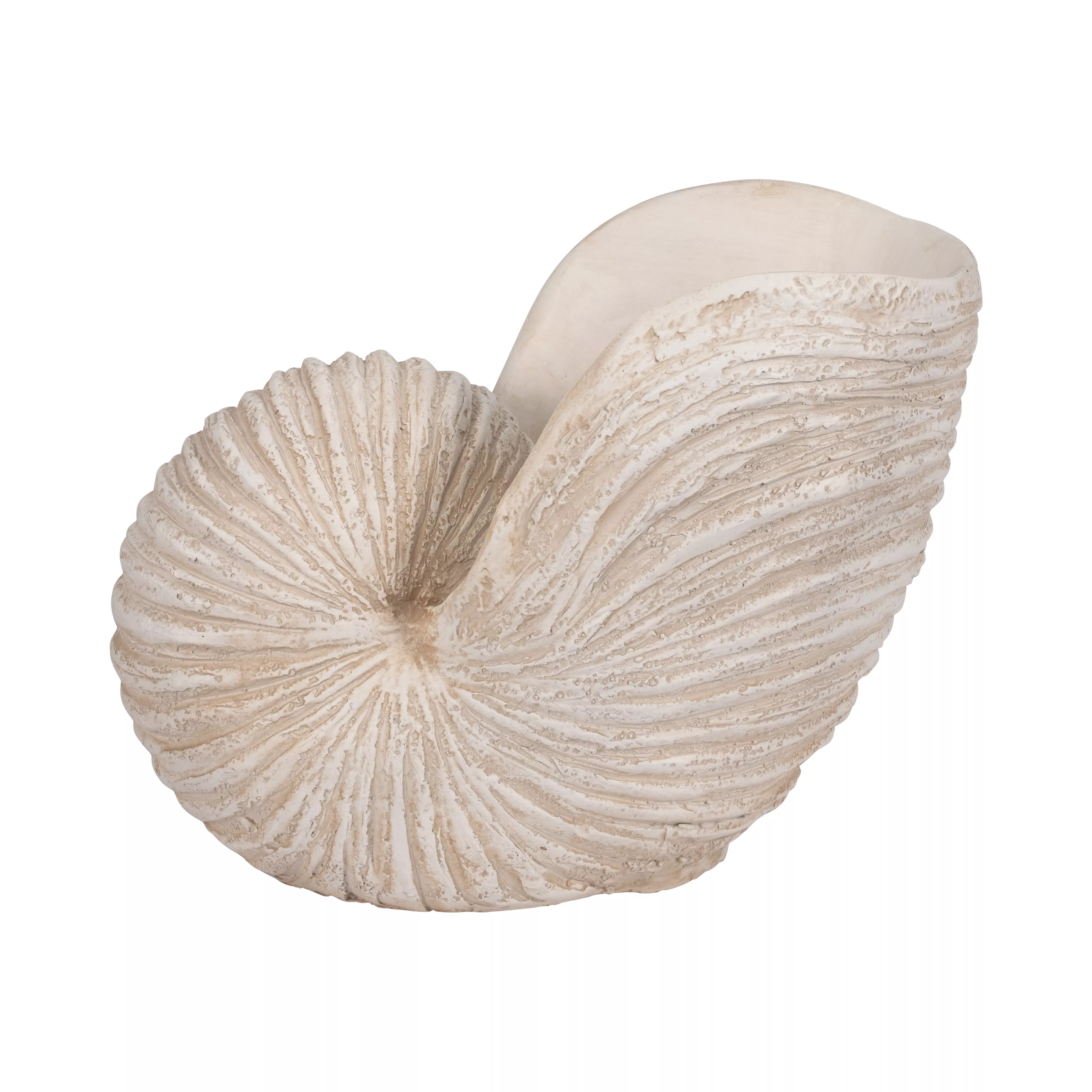 18" Shell Sculpture, Ivory