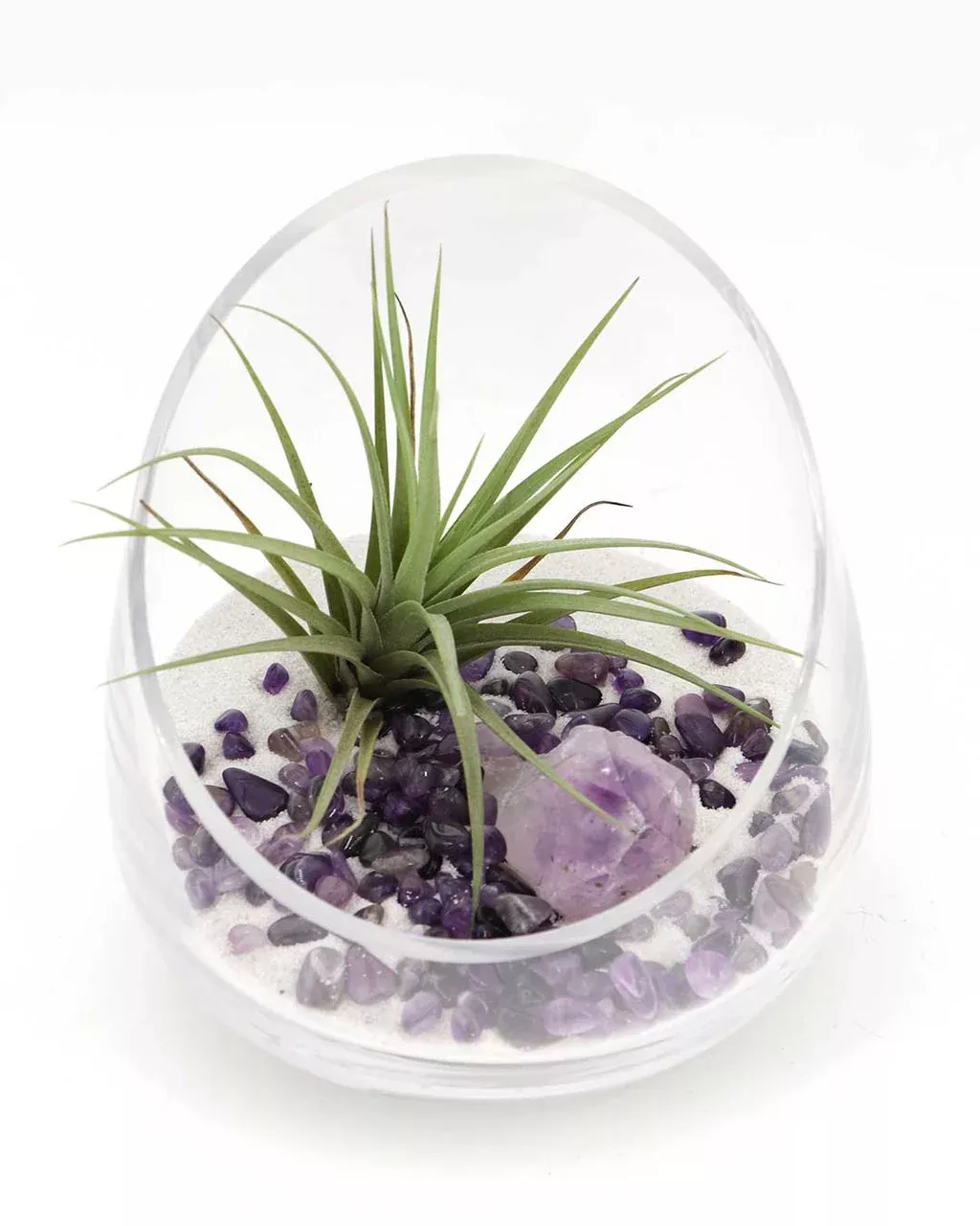 Amethyst Gemstone Healing Crystal Terrarium