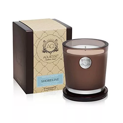 Aquiesse Portfolio Collection Large Candle - Shoreline (10 oz)
