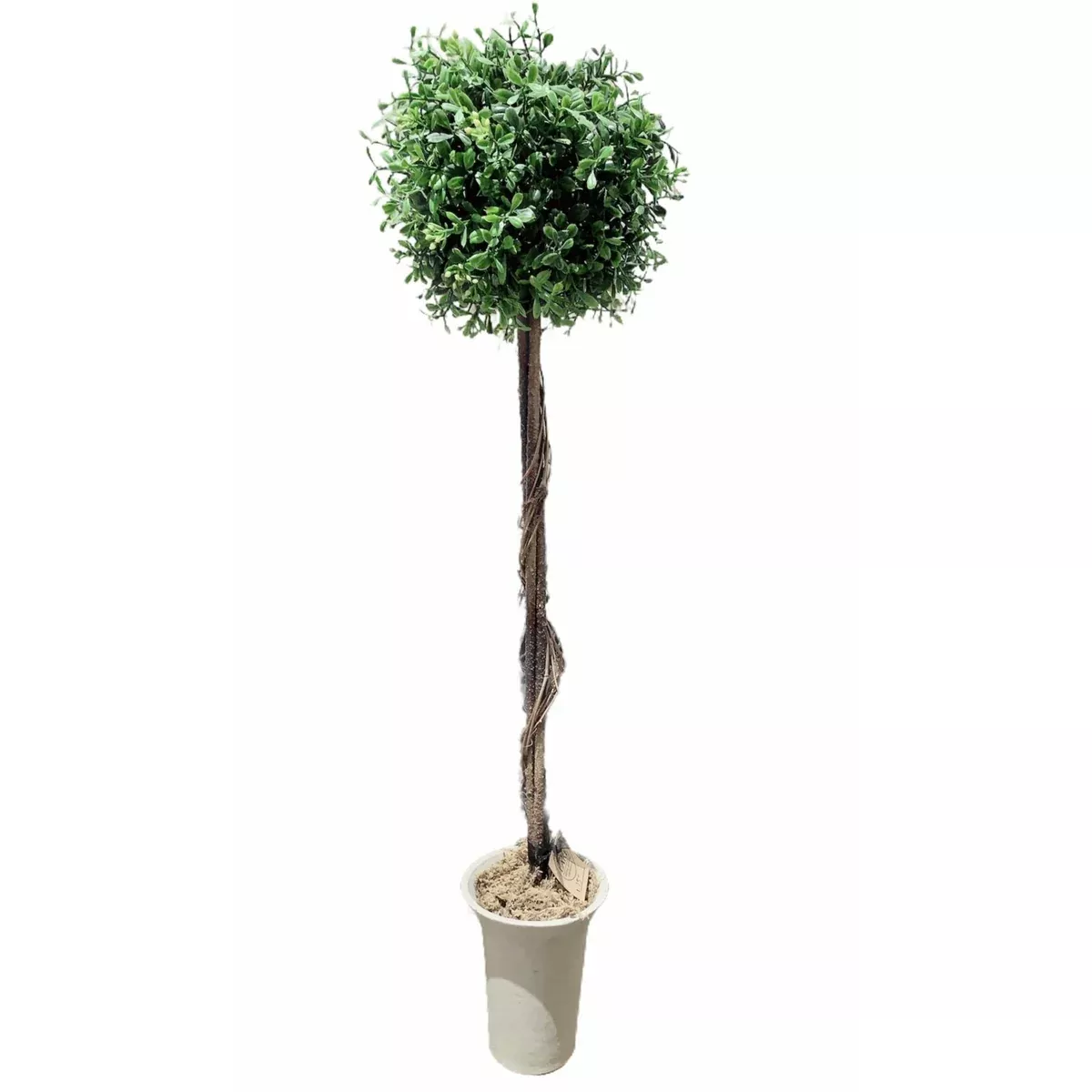 Boxwood Topiary Faux Tree