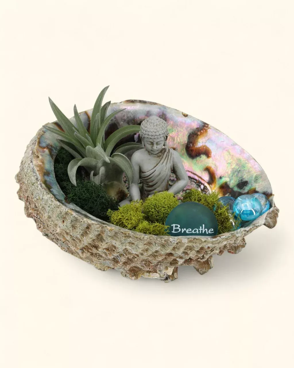 Breathe Abalone Shell Zen Terrarium
