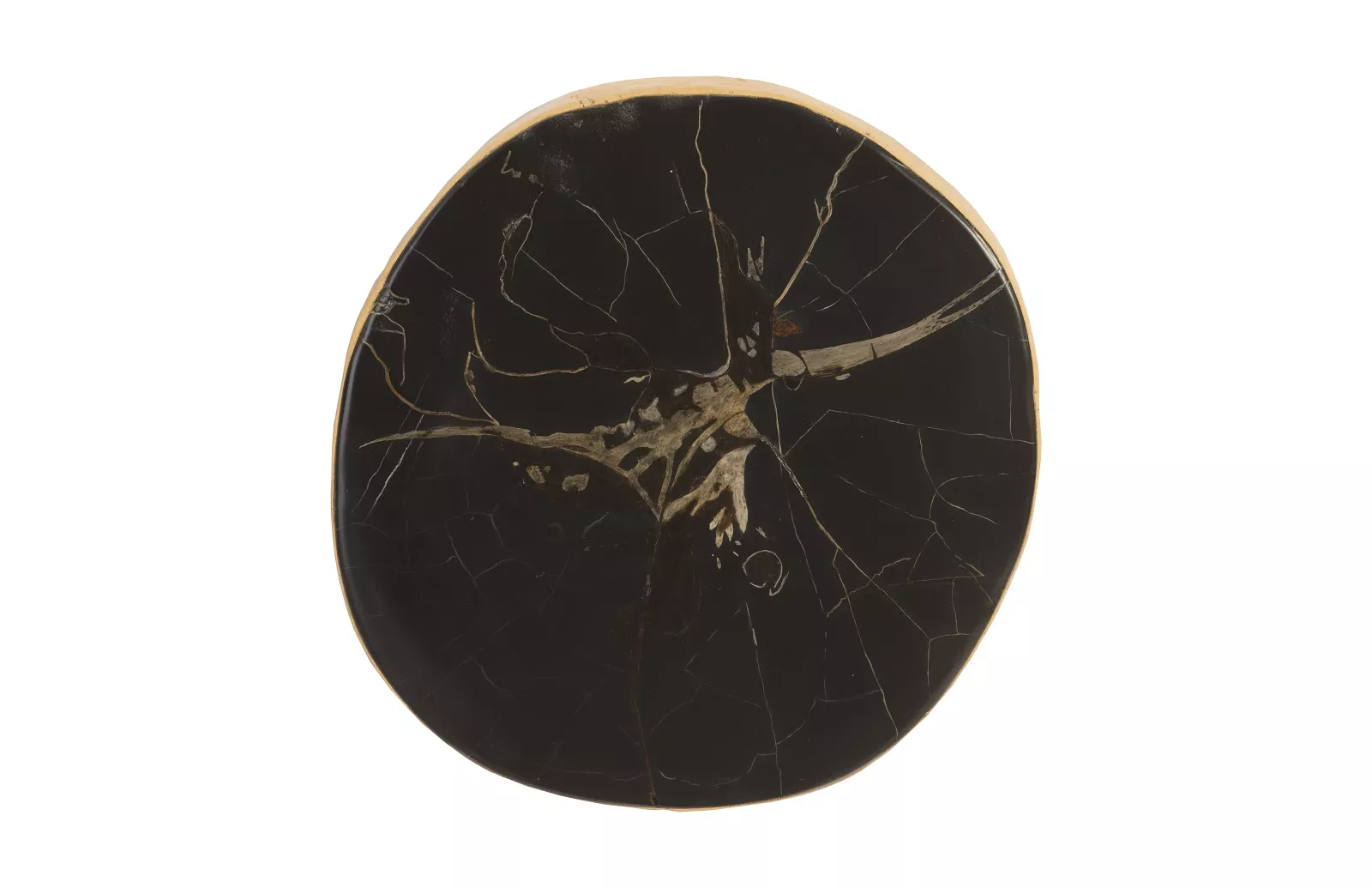 Cast Petrified Wood Round Wall Tile