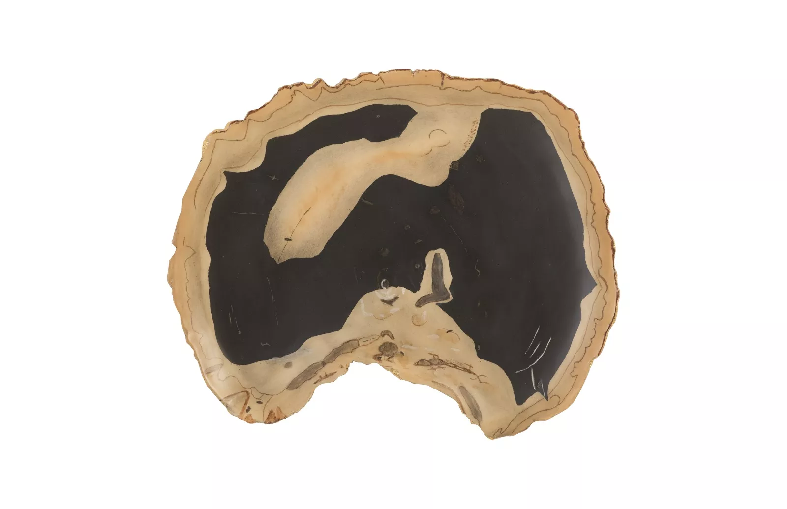 Cast Petrified Wood Thin Wall Tile