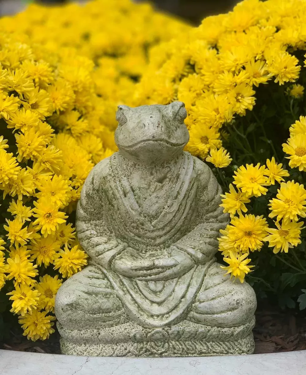 Cast Stone Meditating Zen Frog Statue USA Made