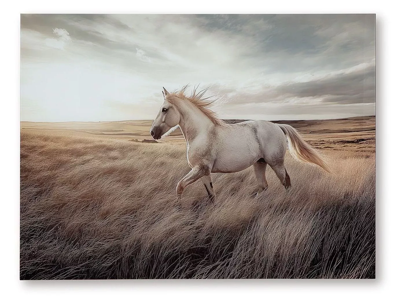 Errolville - Wall Art - Multi