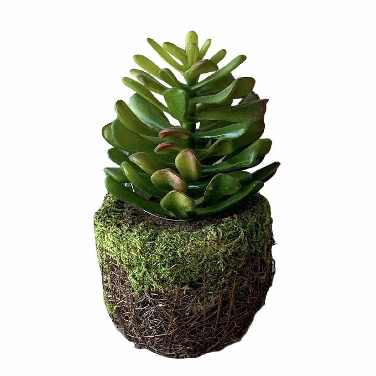 Faux Succulent in Moss Pot - Jade
