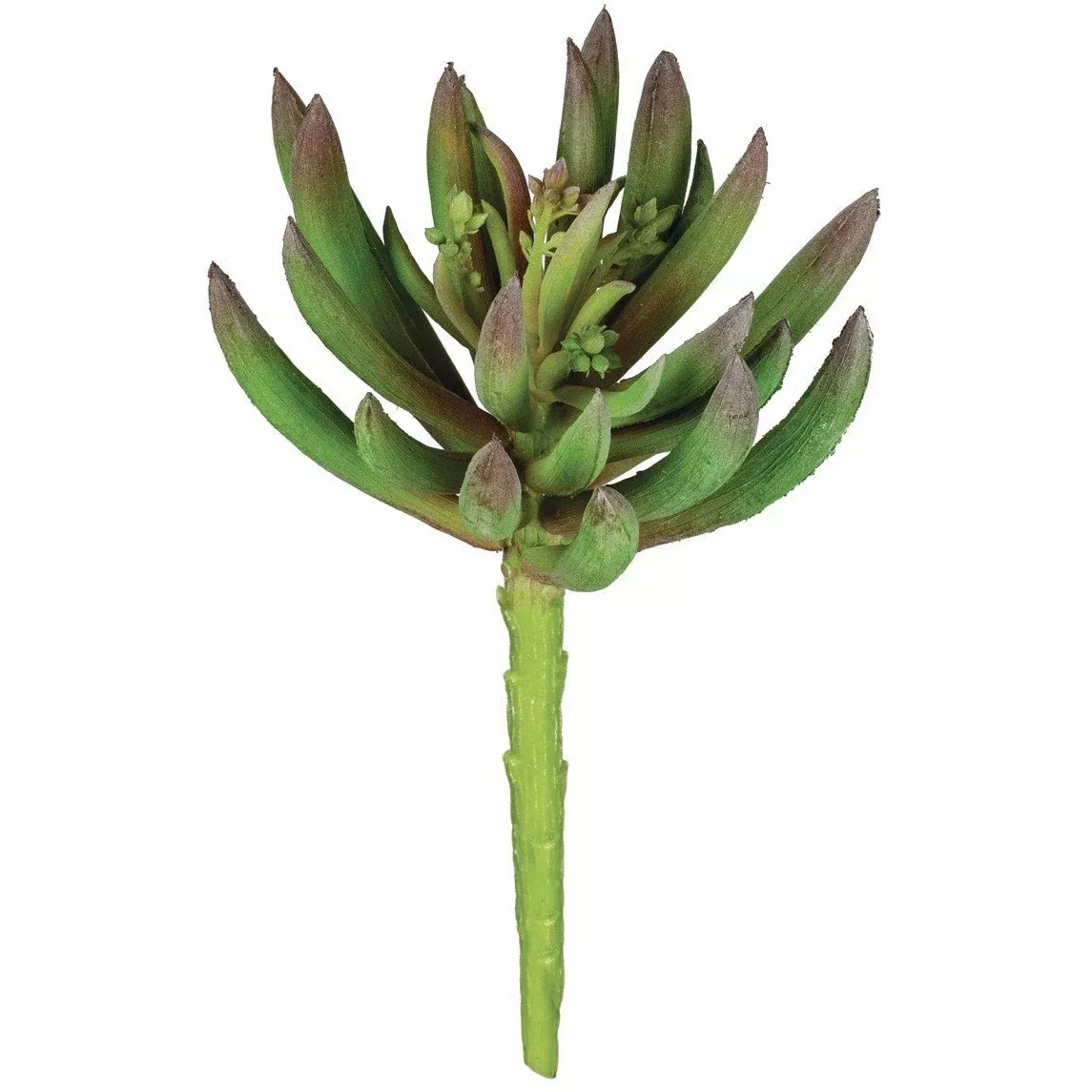 Faux Succulent