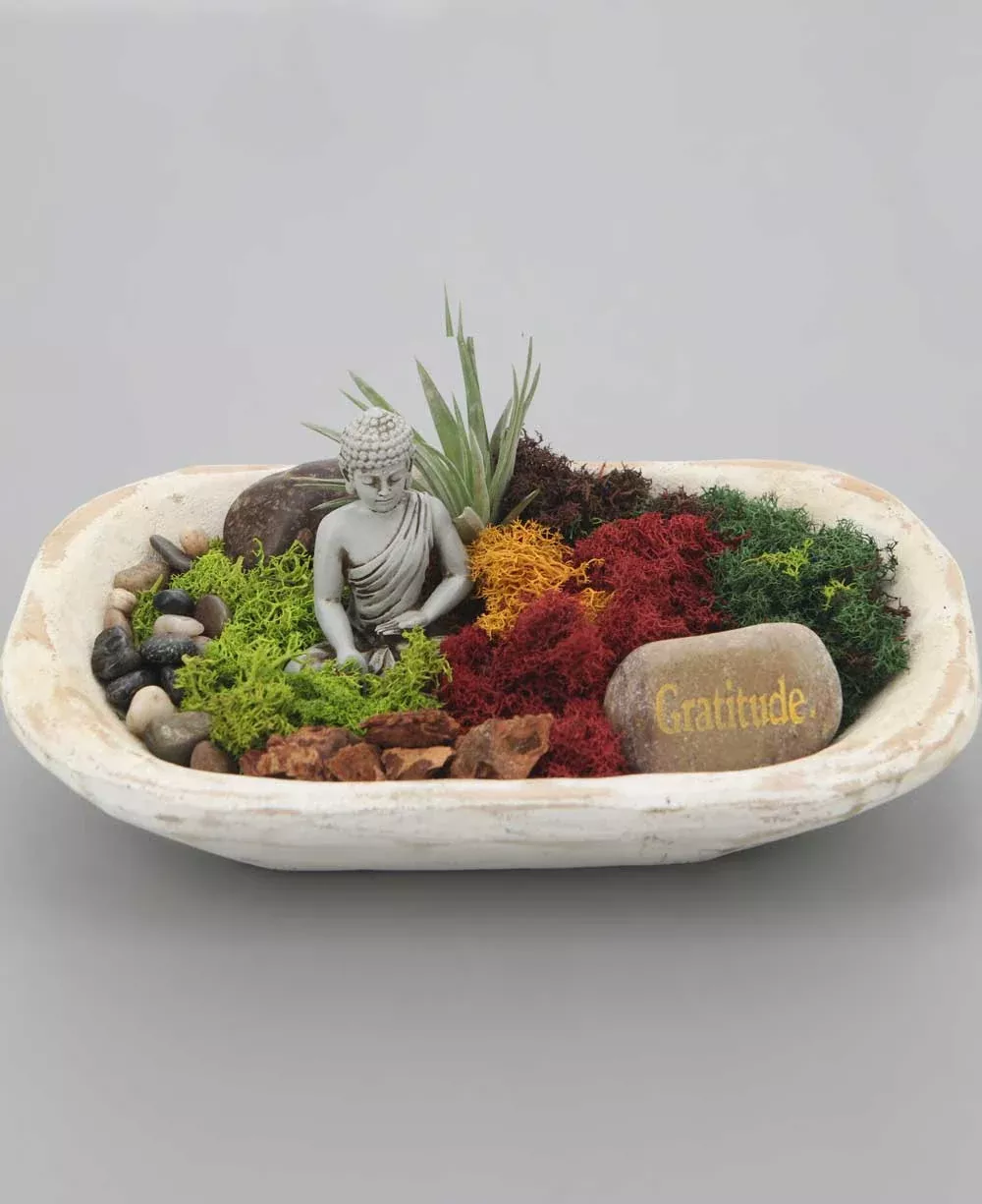 Five Color Moss Gratitude Buddha Terrarium