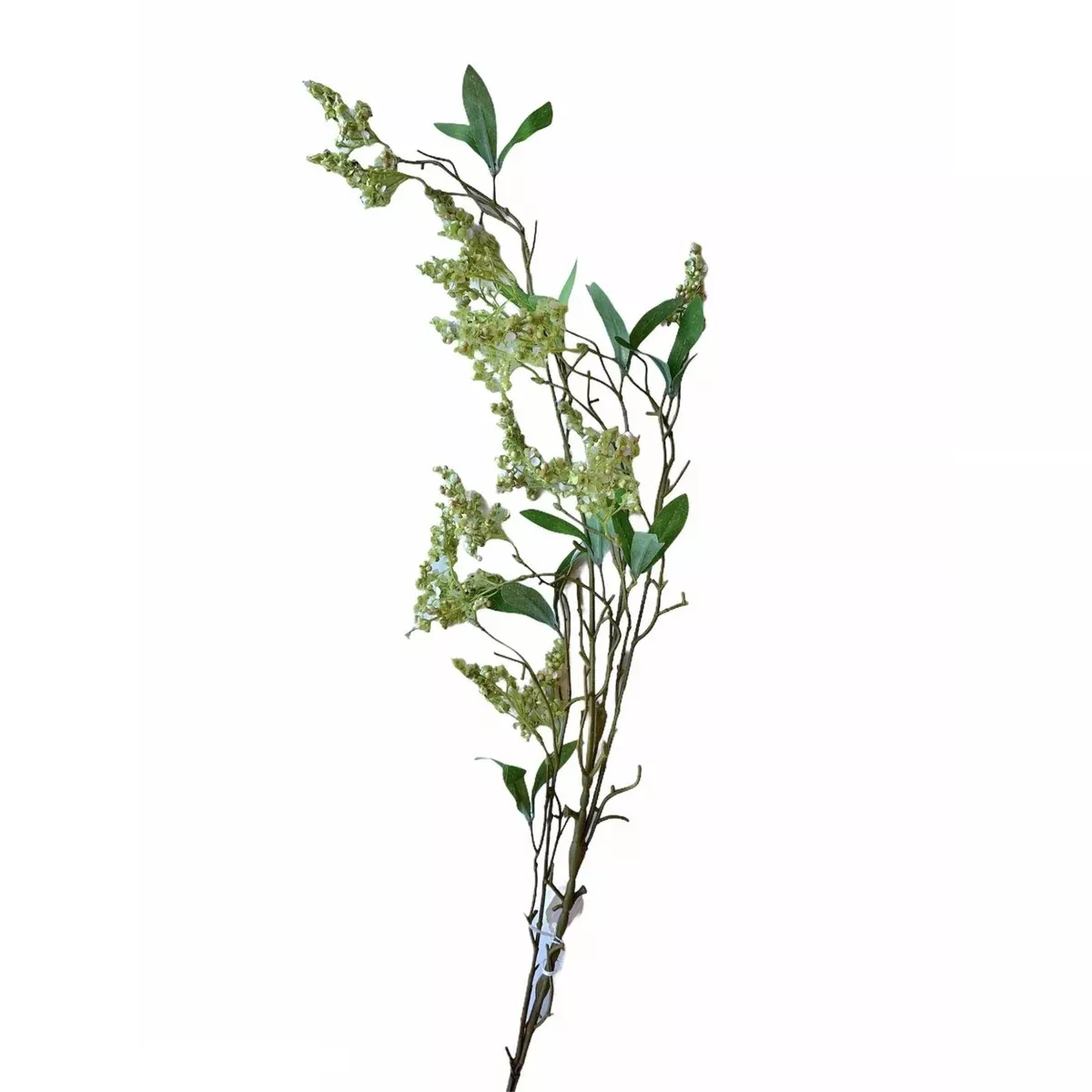 Foliage Spray with Tiny Green Flowers