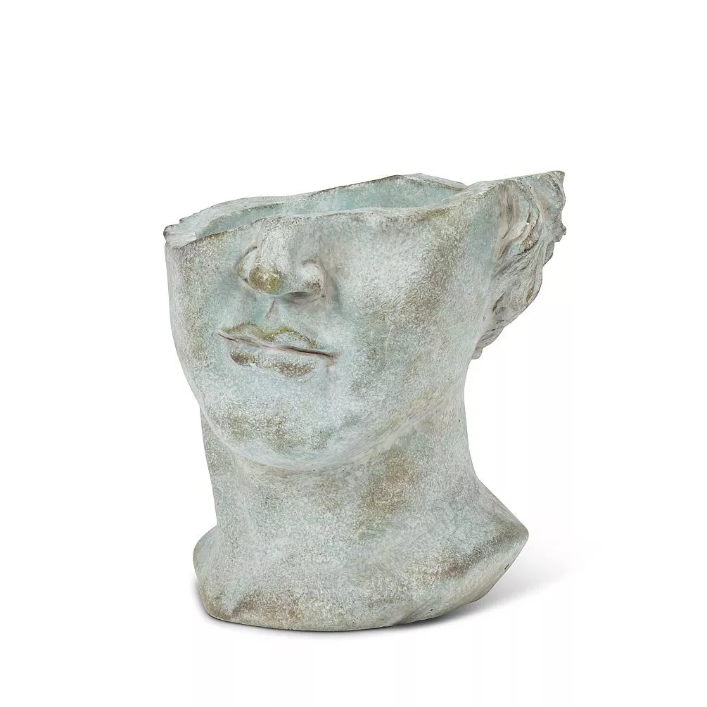Half Male Face Planter