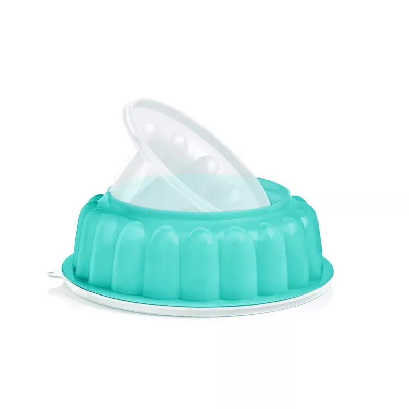 Jel-Ring Mold