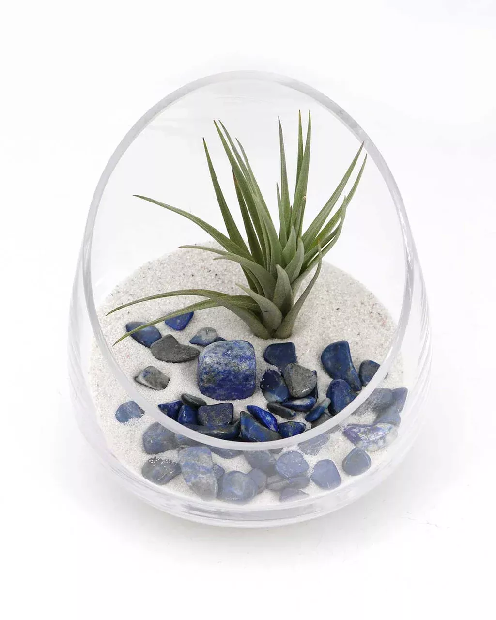 Lapis Gemstone Terrarium