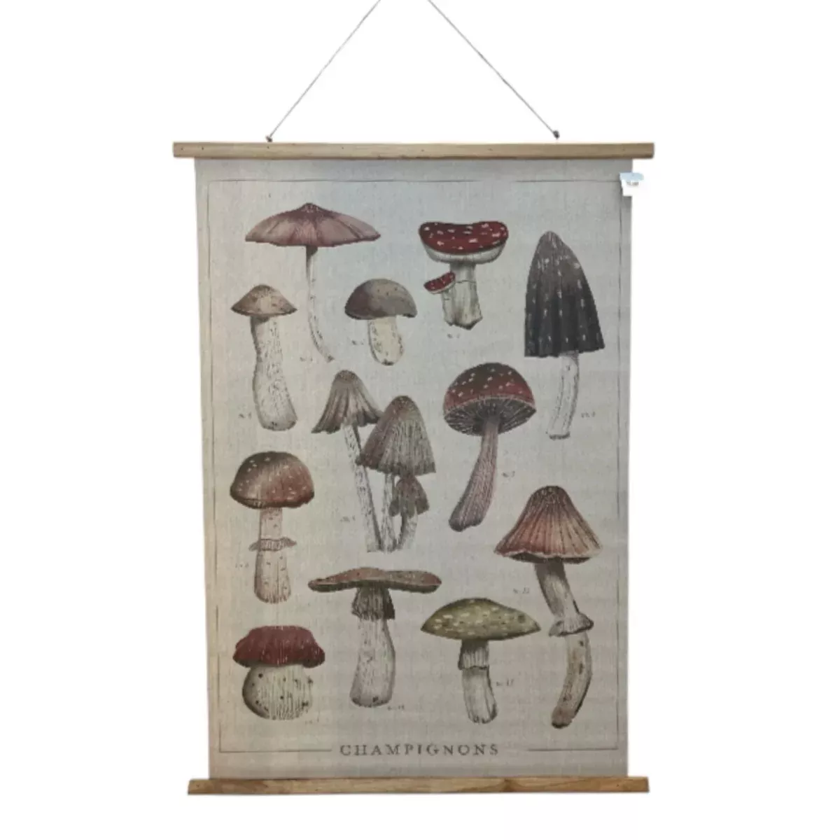 Mushroom Fields Scroll