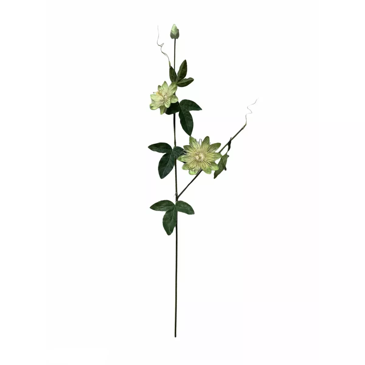 Passion Flower Spray
