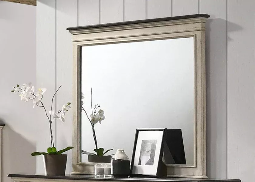 Sawyer Mirror In Two-Toned Finish
