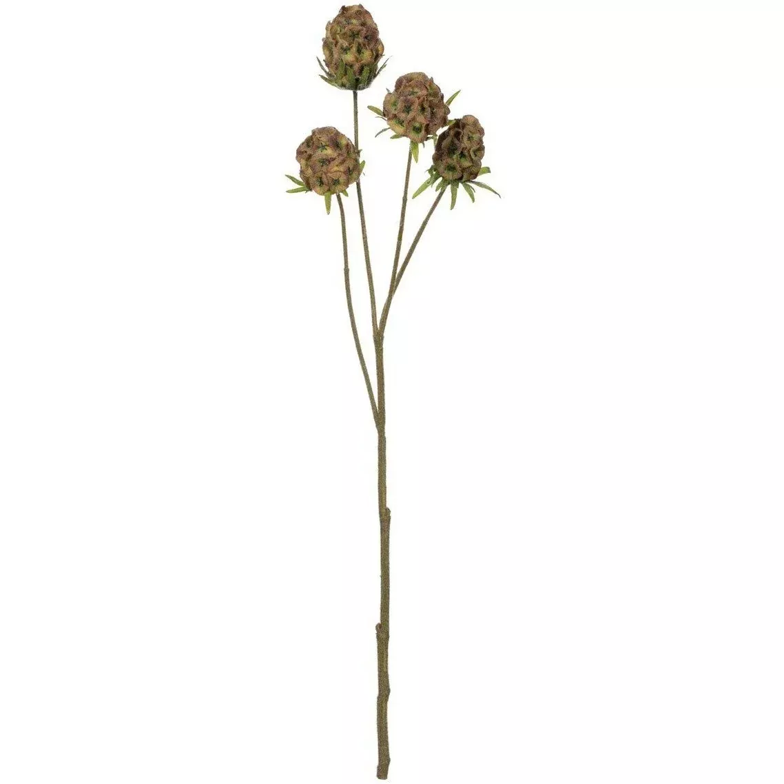 Seed Pod Stem