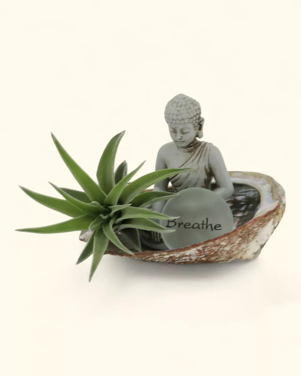 Small Abalone Shell Zen Buddha Terrarium