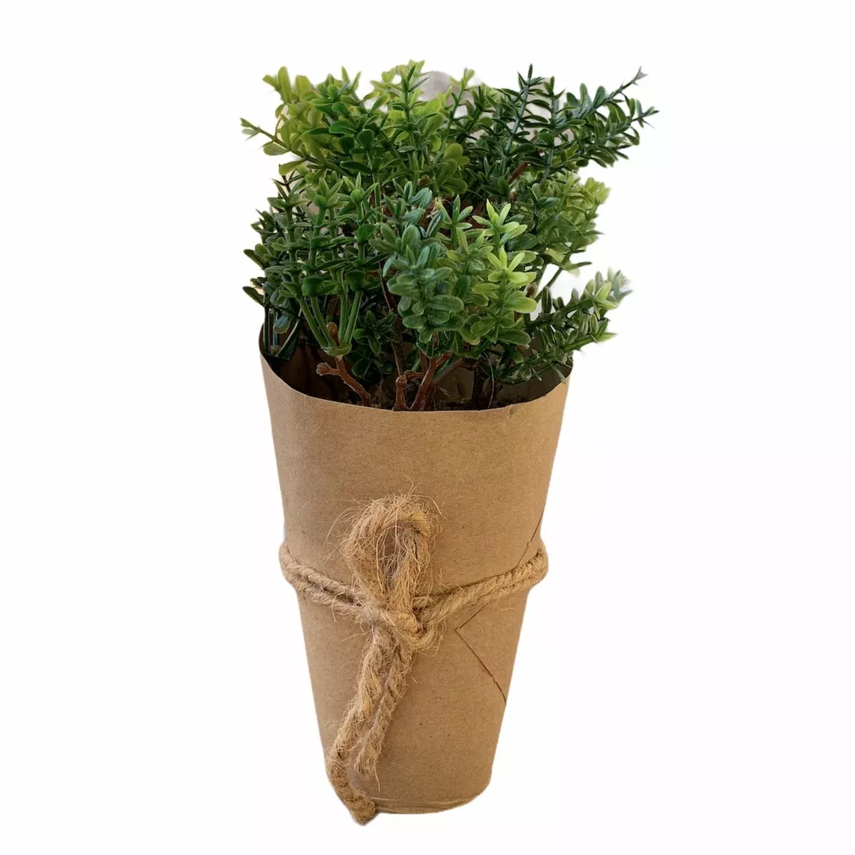 Small Greenery in Kraft Paper