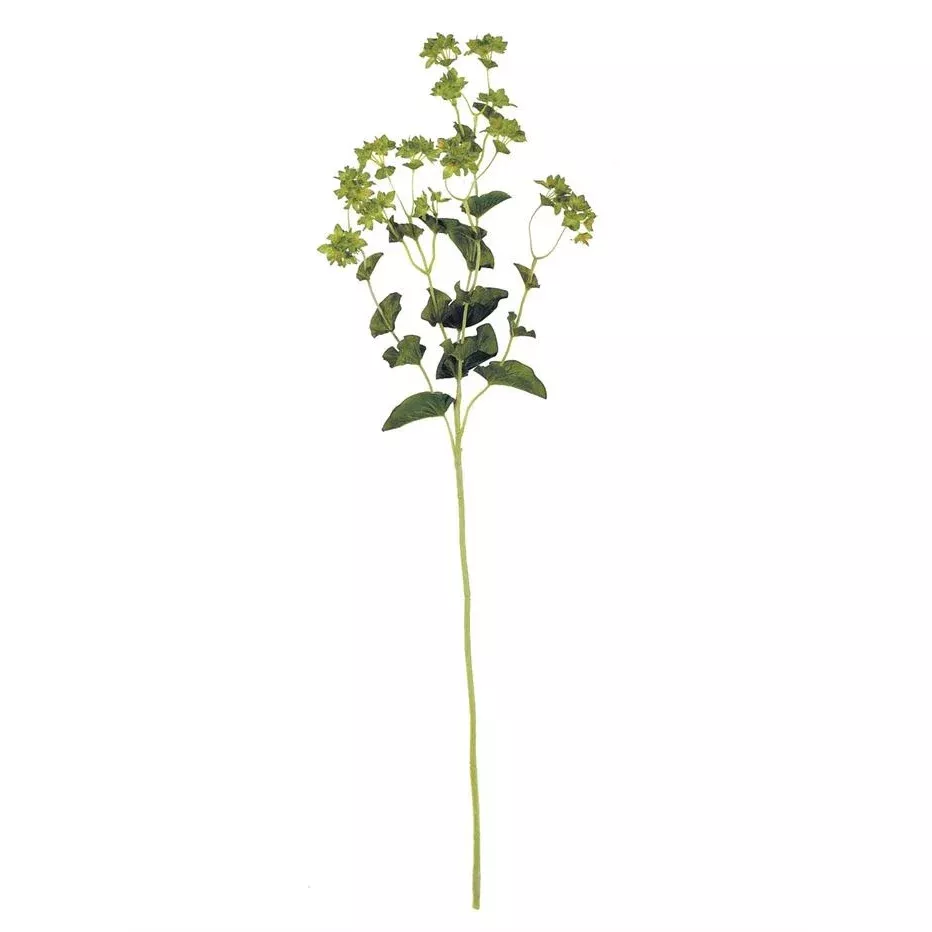 Thorwax Spray