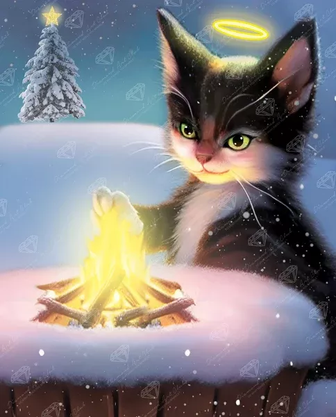 Warm Paws