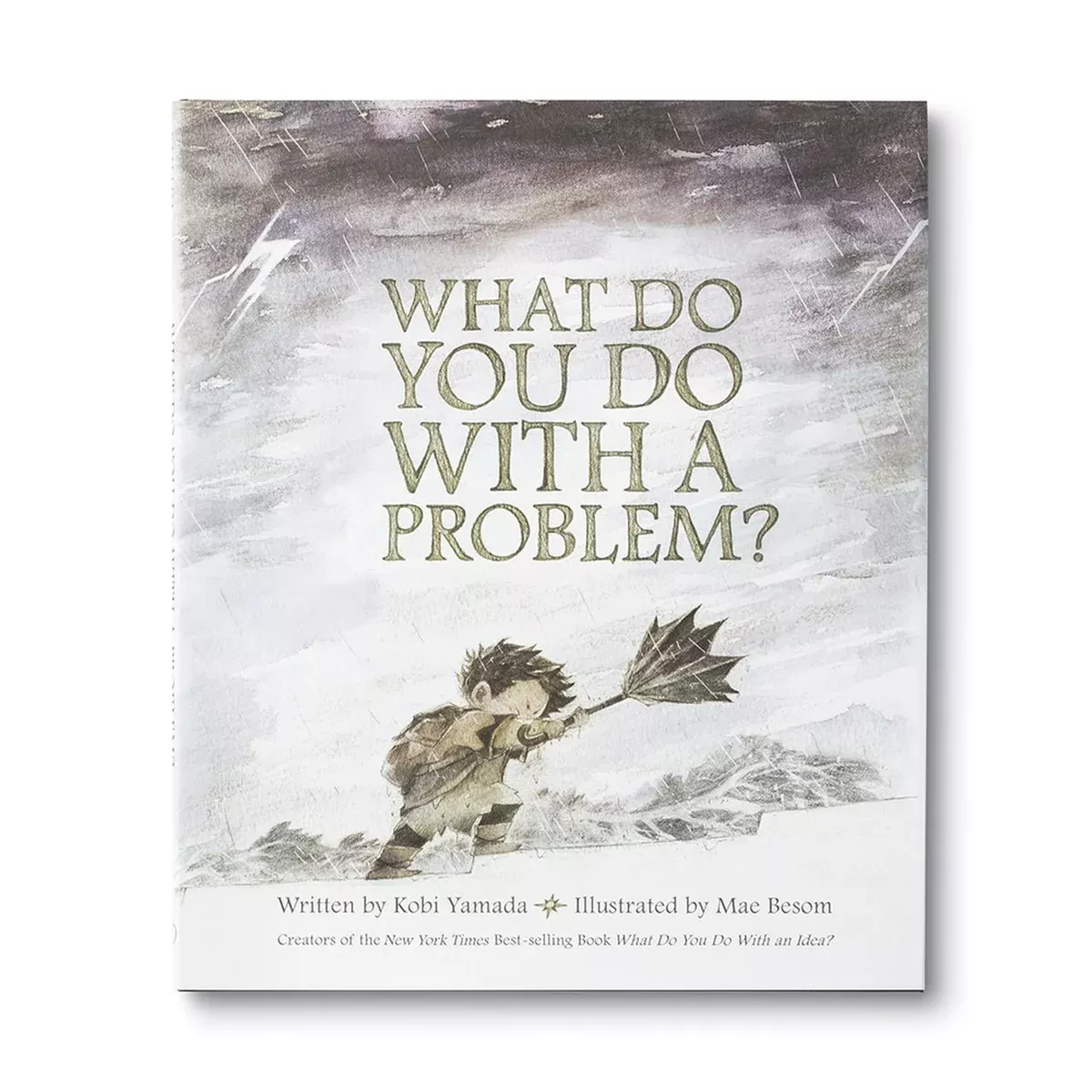 What Do You Do With A Problem - Hardcover Book