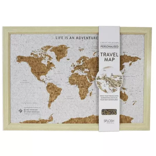 World Map With Cork & Pins