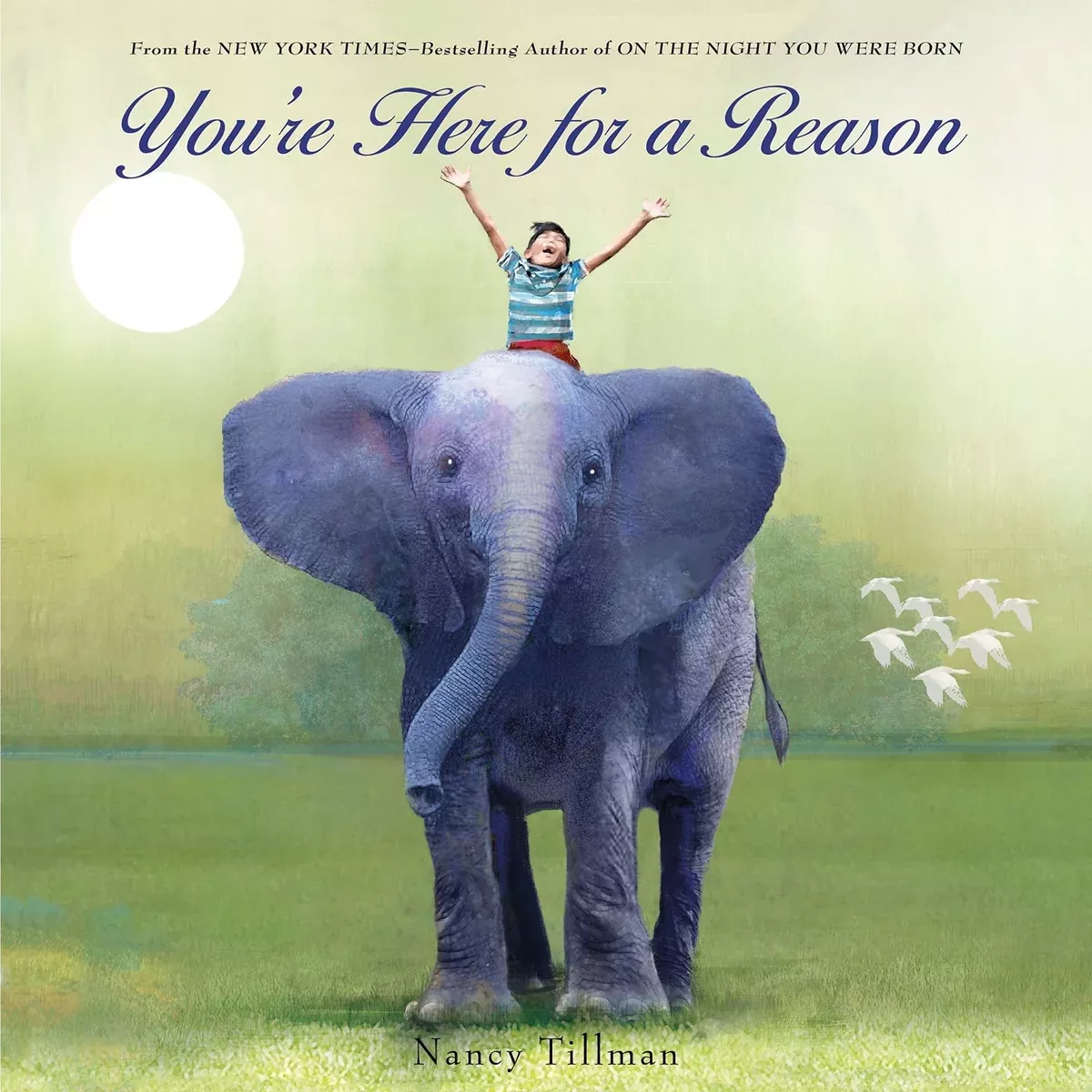 You're Here For A Reason - Board Book